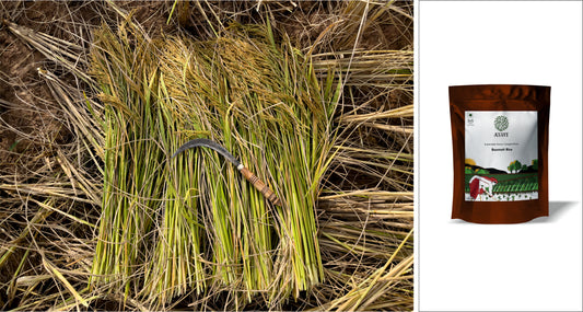 Why including rice in your diet improve your health?