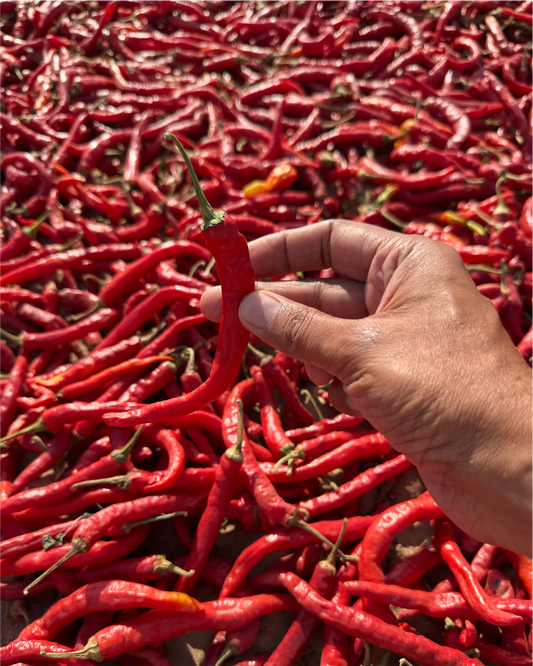 Whole Red Chilli I Tadka Mirch - Bold Taste, True Tradition