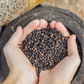 Stone-Crushed Black Pepper Powder (Kali Mirch) | Pure, High-Piperine Fiery Essential | Pack of 1 x 100g
