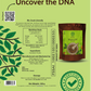 Stone Crushed Myrobalan Powder (Haritaki) | Pure, Tannin-Rich Ancestral Gut Rejuvenator | Pack of 1 x 100g