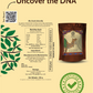 Stone-Crushed Ashwagandha Powder | Pure, High-Withanolide Adaptogenic Essential | Pack of 1 x 100 g