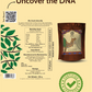 Stone-Crushed Ashwagandha Powder | Pure, High-Withanolide Adaptogenic Essential | Pack of 1 x 100g