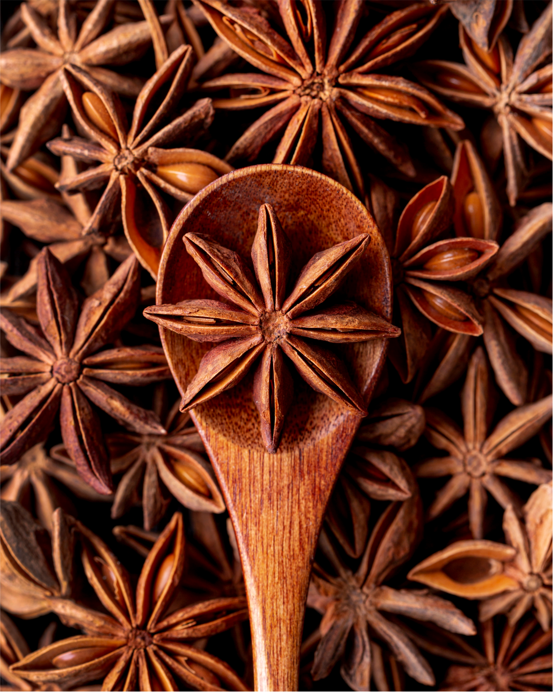 Hand-Picked Whole Star Anise (Chakri Phool) | Pure, Anethole-Rich Exotic Heritage Spice | Pack of 1 x 100g