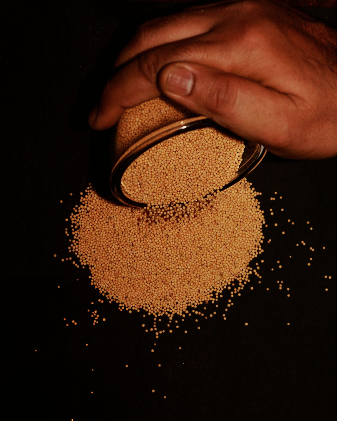 Wood Pressed Yellow Mustard Oil I Single Filtered & High Fiber