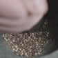 Stone-Crushed Black Pepper Powder (Kali Mirch) | Pure, High-Piperine Fiery Essential | Pack of 1 x 100g
