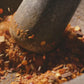 Stone-Crushed Royal Garam Masala | Multi-Layered Whole-Spice Warming Masterpiece | Pack of 1 x 100g